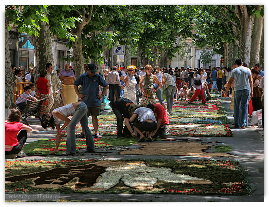 Capvuitada de Festa Major, Sant Boi de Llobregat, 2005